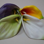 Кала латексная