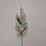 Ветка гипсофилы